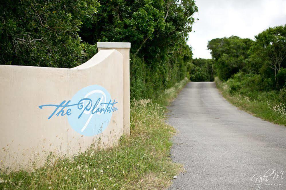 The Plantation Panzió Port Elizabeth Kültér fotó